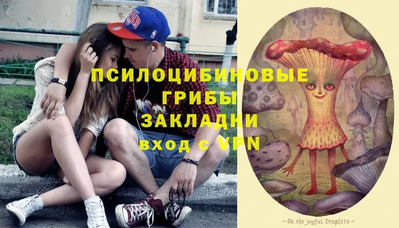 наркота  это как зайти  Галлюциногенные грибы Psilocybine cubensis  Зеленокумск 